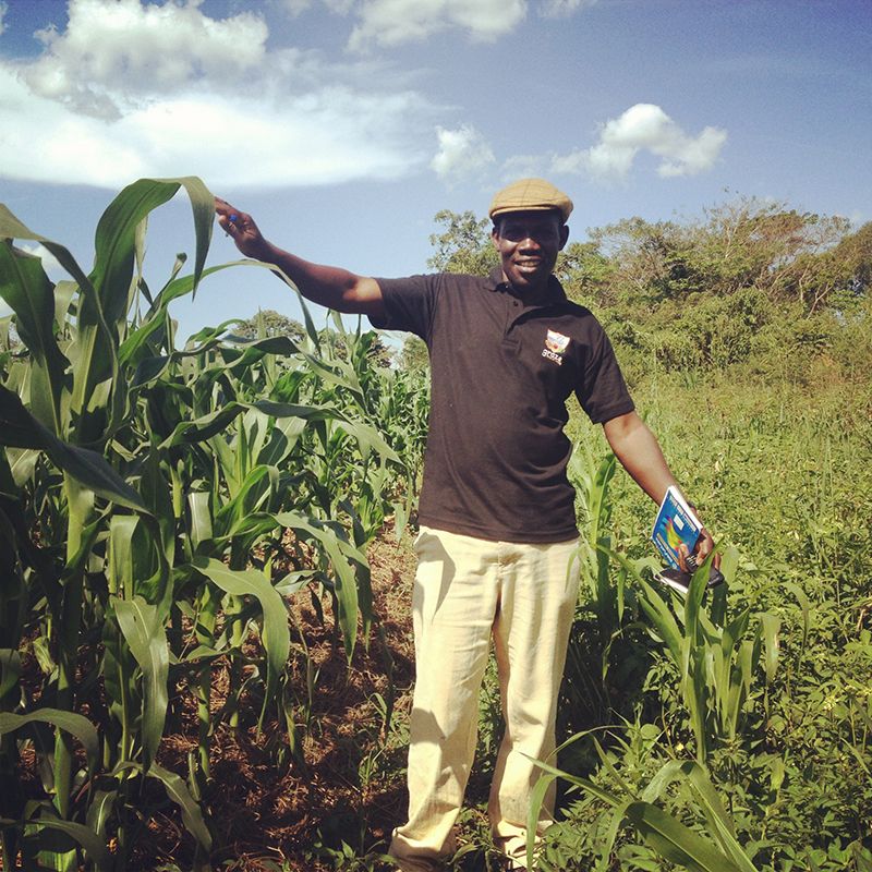 Mr. Augustine showing the difference between his methods and traditional methods (both planted at the same time)